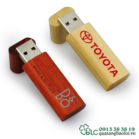 USB Gỗ Hải Phòng -  USB022