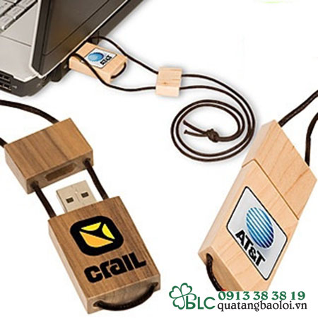 USB Gỗ Hải Phòng -  USB023