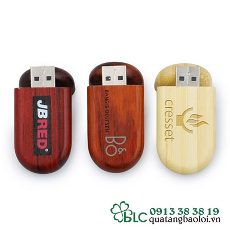 USB Gỗ Hải Phòng -  USB024