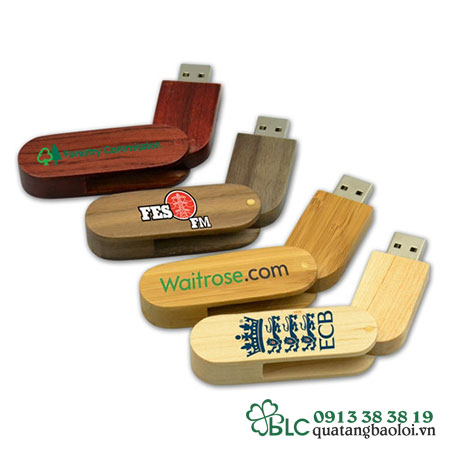 USB Gỗ Hải Phòng -  USB027