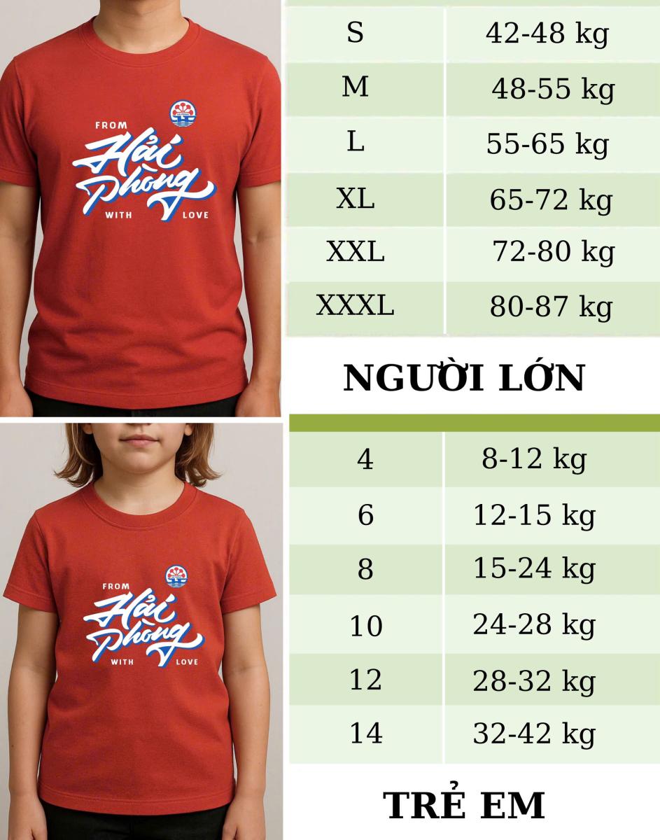 Áo phông Hải Phòng chất mè co giãn 2 chiều